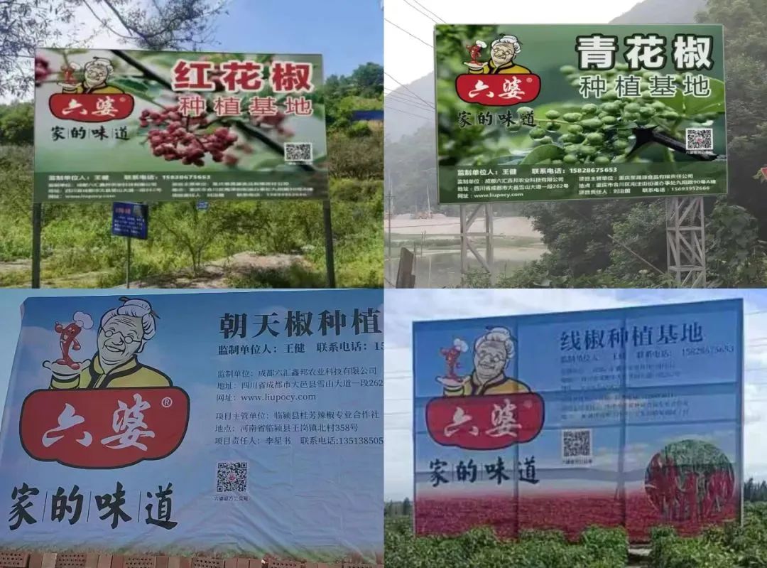 8亿袋一包辣椒面如何成为万能蘸料电子pg游戏六婆：一年销量超过(图2)