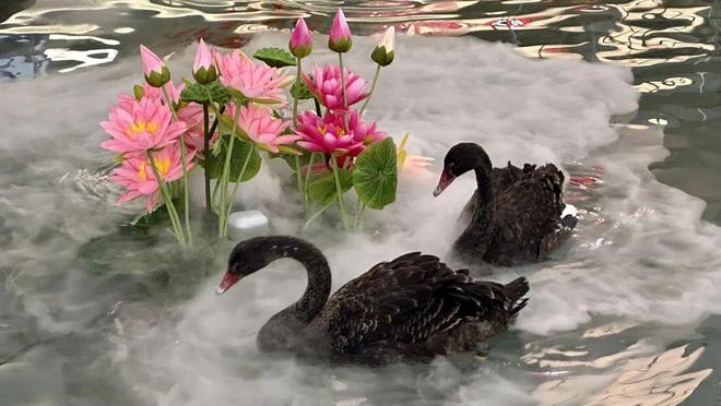 津这所中学改扩建！日本进口片暂缓上映！pg模拟器试玩最低-5℃！今天将…天(图23)